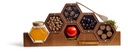 RH Hex Collection Med