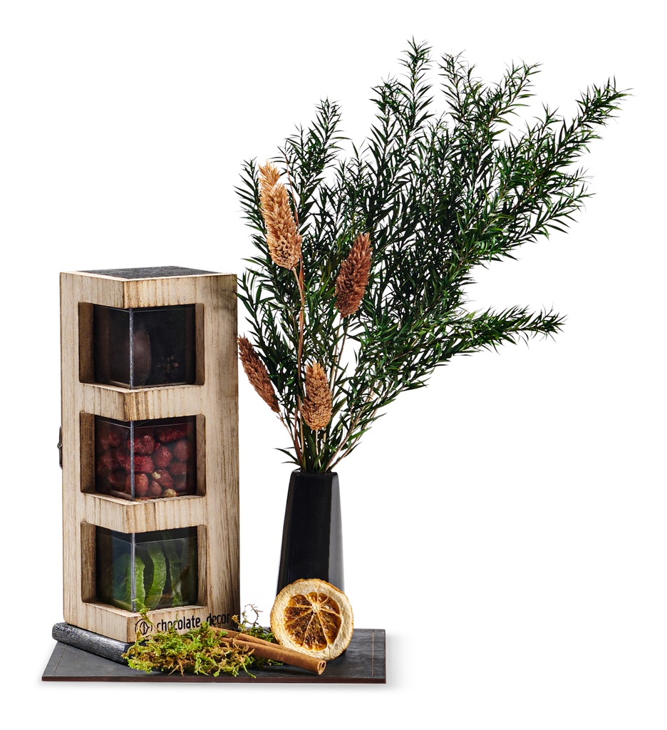 Tu Bshvat Cube Tower