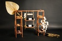 Purim Deluxe Ladder