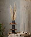 Single Natural Column Md