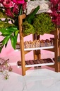 Trifold Ladder Sm