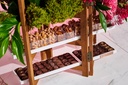 Trifold Ladder Sm