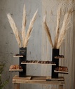 Double Natural Column Sm