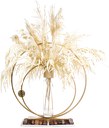 Double Gold Ring