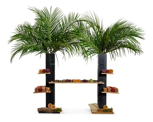 [81343] Tu Bshvat Column XXL (XXL)