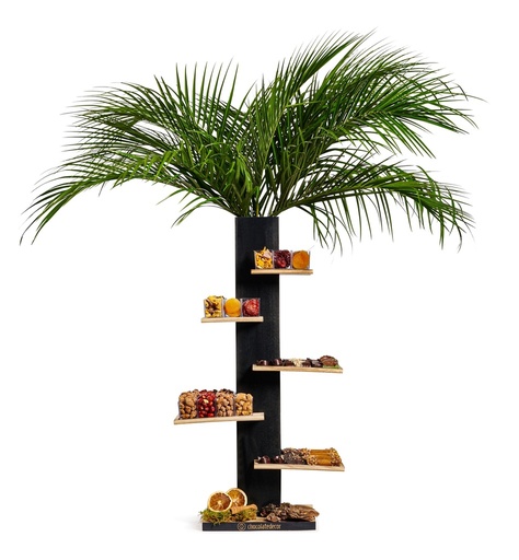 [81342] Tu Bshvat Column XL