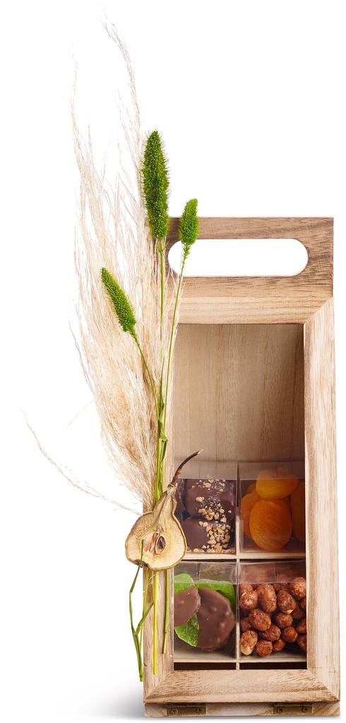 Tu Bshvat Cube Bag 4