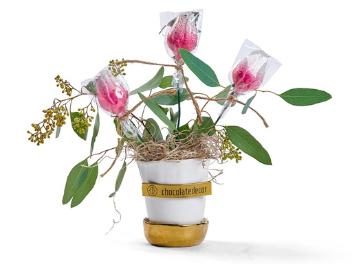 [81426] Darling Pot Setup