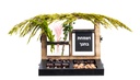 Sukkos Desktop Organizer Medium