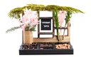 Sukkos Desktop Organizer Large