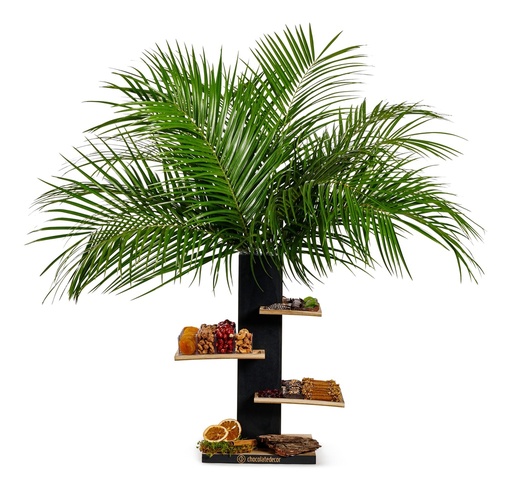 [81341] Tu Bshvat Column Lg